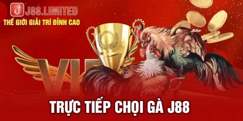 Trực tiếp chọi gà J88