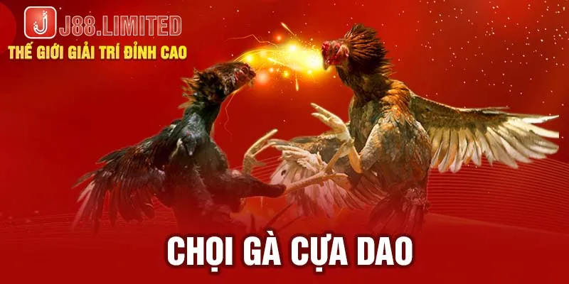 Chọi gà cựa dao